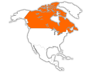 Estrie  -  Québec - Canada